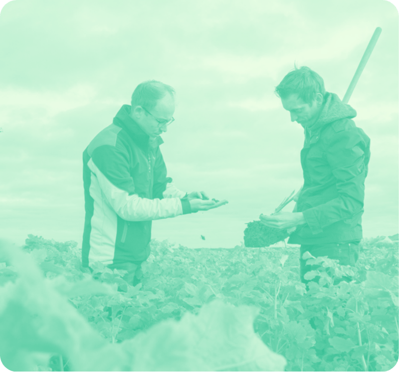 Agrifirm Project