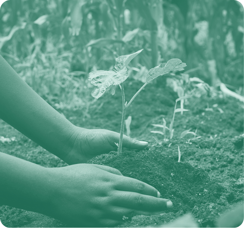 Proba GHG Methodologies (2)