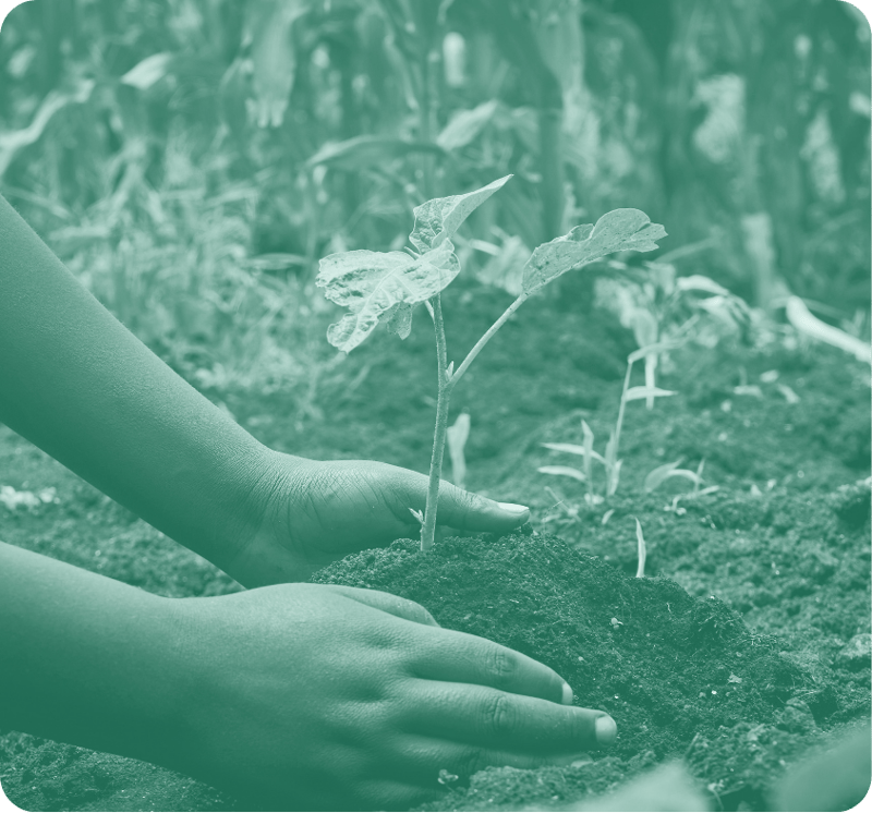 Proba GHG Methodologies (2)