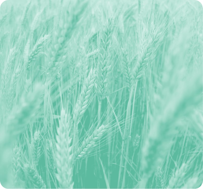 Proba Projects Graphics (2)