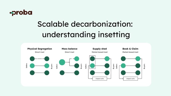 Scalable decarbonization - Understanding insetting