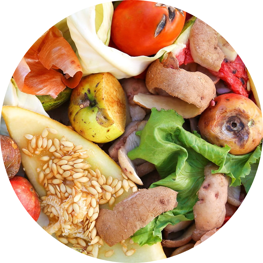 food waste