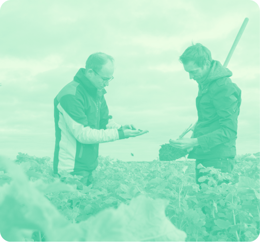 Agrifirm crop reductions Proba homepage