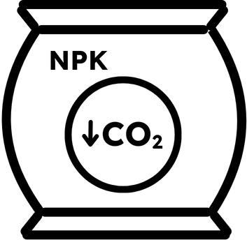 N (6)