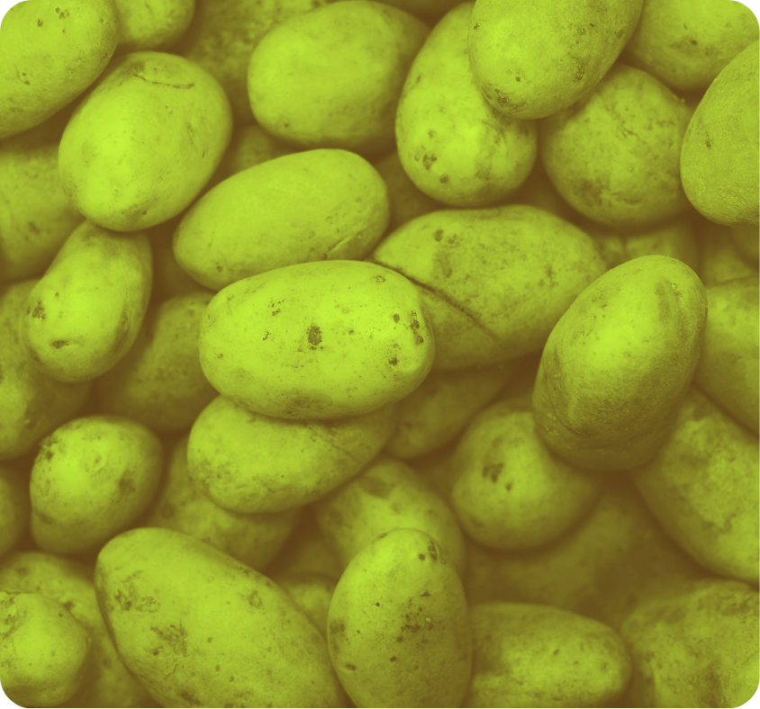 WaltherFarms_Proba_ WaltherFarms_Proba_